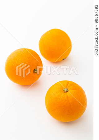 橙色白色背面 99367592