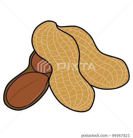 Pop and cute peanut illustration Pop and cute peanut illustration 99367821