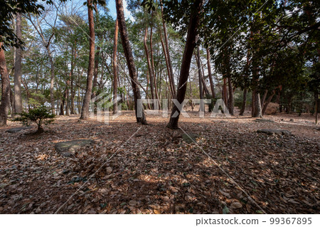 備中文二寺遺址 近藤遺址 岡山縣總社市 備中文二寺遺址 近藤遺址 岡山縣總社市 99367895
