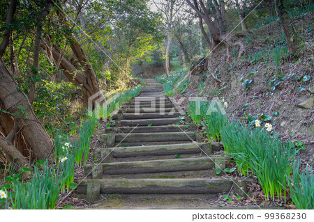 Ogijima, an art island in the Seto Inland Sea 99368230
