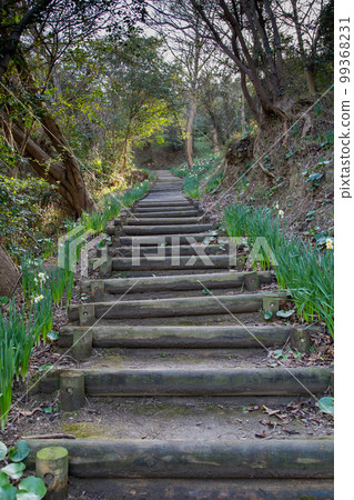 Ogijima, an art island in the Seto Inland Sea 99368231