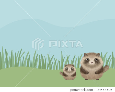 raccoon background 99368306