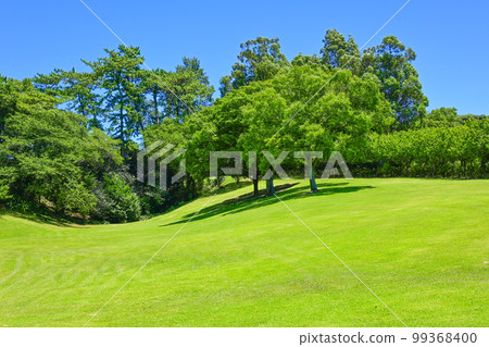 Trees standing on a green grassy hill with a clear summer blue sky Trees standing on a green grassy hill with a clear summer blue sky 99368400