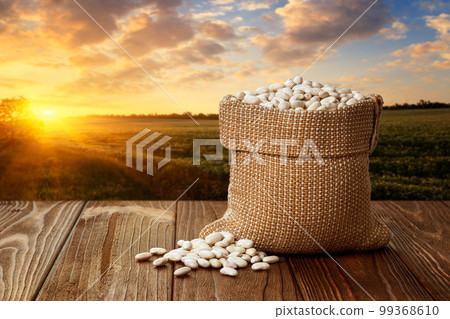 white beans in burlap bag on table with agriculture field on sunset 99368610