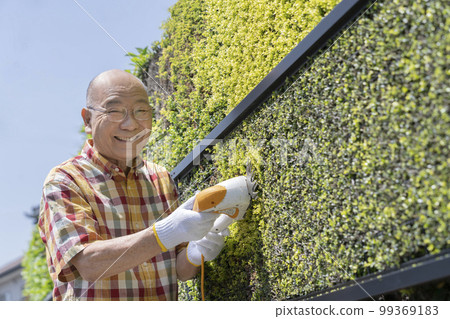 Senior man pruning a hedge looking at the camera portrait 99369183