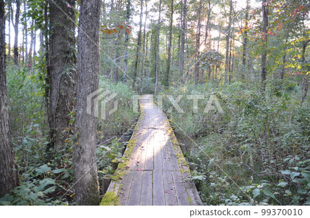 中瀨沼之夜 99370010