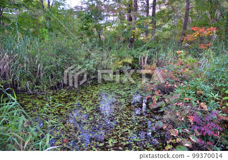 中瀨沼之夜 99370014