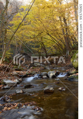 深秋的Tinzawa不動的瀑布 99370065