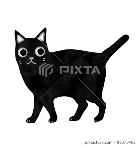 A walking black cat A walking black cat 99370402