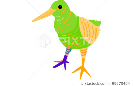 Amamiya woodcock, a creature of the world natural heritage island Amamiya woodcock, a creature of the world natural heritage island 99370404