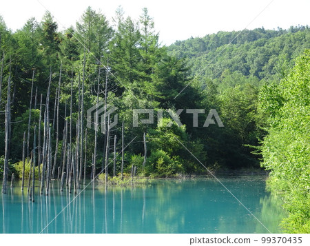 北海道美瑛青池正殿3 北海道美瑛青池正殿3 99370435