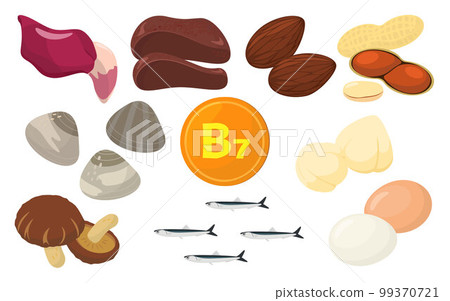 Vector illustration of foods containing vitamin B7. Vector illustration of foods containing vitamin B7. 99370721