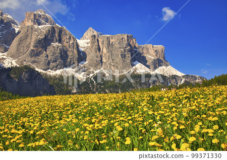 多洛米蒂山美麗的春天景象 多洛米蒂山美麗的春天景象 99371330