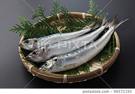Sardine sardine black background Sardine sardine black background 99372193