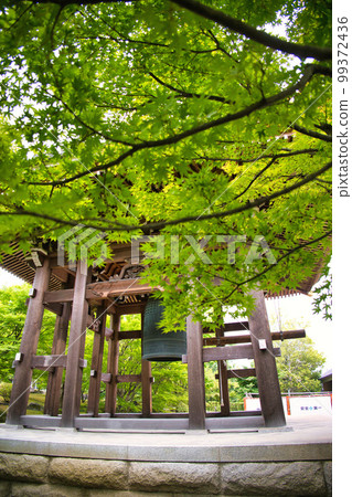 Kyoto Chishakuin 99372436