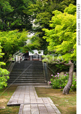 京都芝士院 京都芝士院 99372437