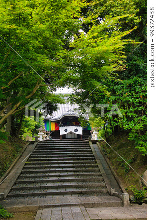 京都芝士院 99372438