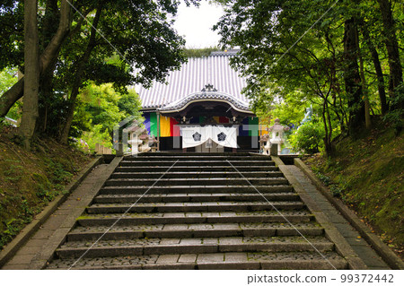 京都芝士院 京都芝士院 99372442