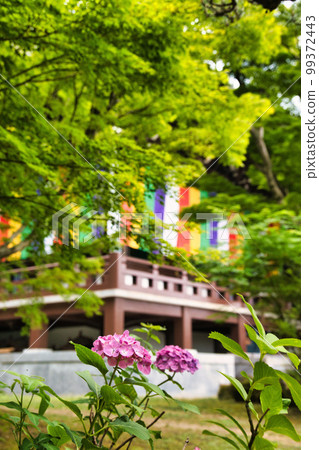 Kyoto Chishakuin Kyoto Chishakuin 99372443
