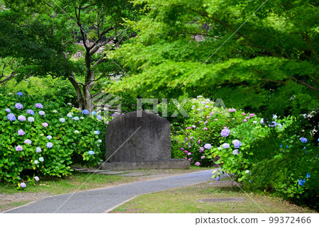 京都芝士院 99372466