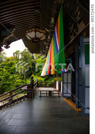 京都芝士院 99372470