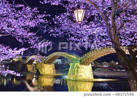 Kintaikyo Bridge Night Cherry Blossoms Yamaguchi Kintaikyo Bridge Night Cherry Blossoms Yamaguchi 99372599
