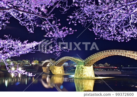 Kintaikyo Bridge Night Cherry Blossoms Yamaguchi Kintaikyo Bridge Night Cherry Blossoms Yamaguchi 99372600