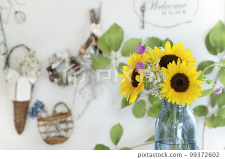 Sunflower mini sunflower bright room 99372602
