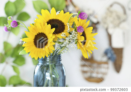 Sunflower mini sunflower bright room Sunflower mini sunflower bright room 99372603