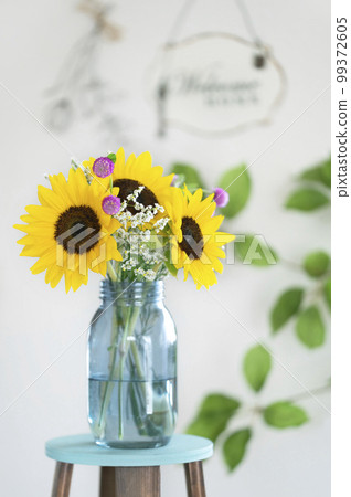 Sunflower mini sunflower bright room Sunflower mini sunflower bright room 99372605