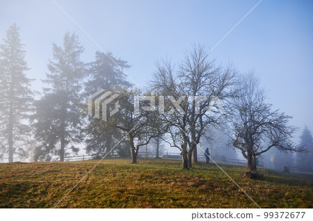 Male tourist standing on grassy hill trail near misty trees. 99372677