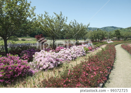 Flower Village OKADA in Kyotango City 99372725