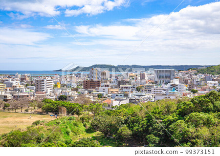 Scenery of Okinawa (Yonabaru Town) 99373151