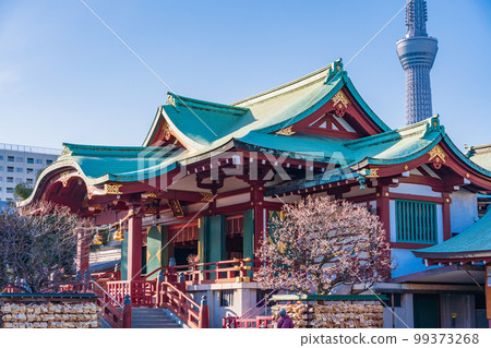 （東京）以梅花晴空塔為背景的龜戶天神 99373268