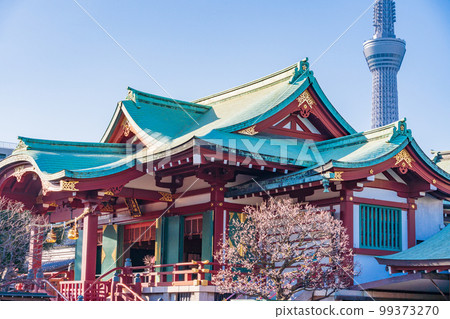（東京）以梅花晴空塔為背景的龜戶天神 99373270