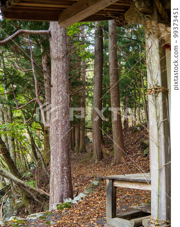 Autumn entrance 99373451