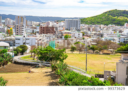 Scenery of Okinawa (Yonabaru Town) 99373629