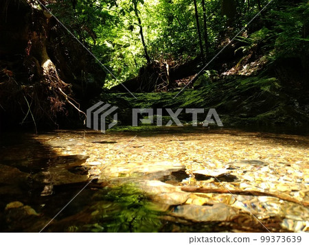 Dark green of Natsuzawa 99373639