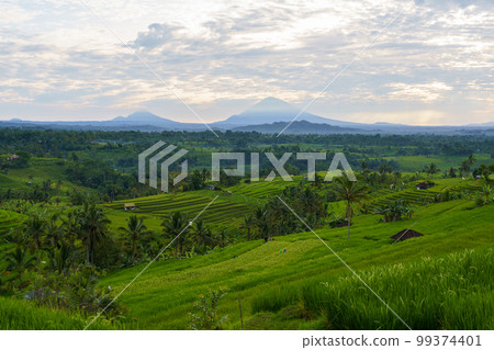 View of Jatiluwih rice terraces and Mount Agung (Bali, Indonesia) 99374401