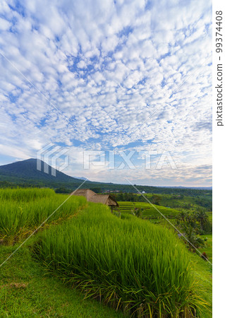 Jatiluwih rice terraces and mountain view (Bali, Indonesia) 99374408