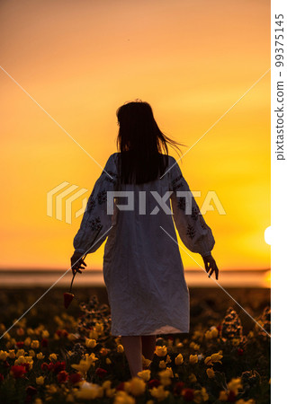 Woman back against sunset and wild tulip flowers, natural seasonal background. Multi-colored tulips Tulipa schrenkii in their natural habitat are listed in the Red Book. 99375145