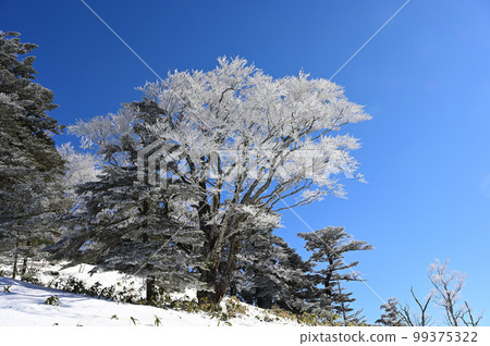Mt. Ishizuchi, the highest peak in western Japan Mt. Ishizuchi, the highest peak in western Japan 99375322