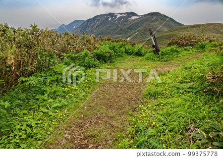 Tanigawa mountain range seen from the vicinity of the Joetsu border ridgeline and Hoho Pass Tanigawa mountain range seen from the vicinity of the Joetsu border ridgeline and Hoho Pass 99375778