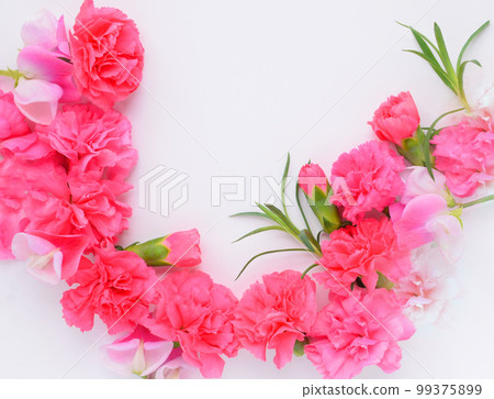 白色背景中的粉色康乃馨框、母親節禮物、康乃馨花框 99375899