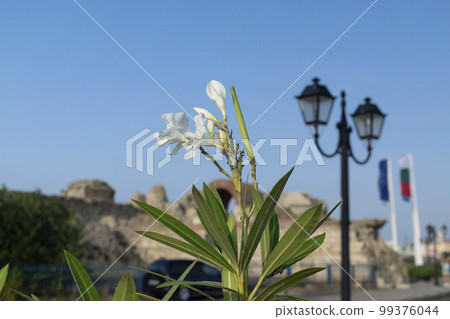 Early in the Morning on the beach in Nessebar resort in Bulgaria Early in the Morning on the beach in Nessebar resort in Bulgaria 99376044