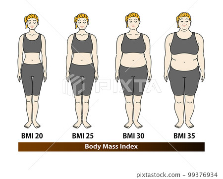 Change in body shape by BMI index of young women Body mass index illustration vector 99376934