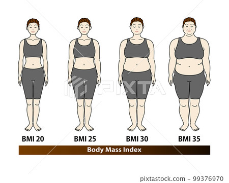 根據中老年女性 BMI 指數的體型變化 Body mass index illustration vector 99376970
