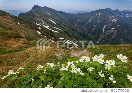 A view of the Hakusan Ichige colony and Mt. Tanigawa on the ridgeline of the Joetsu border A view of the Hakusan Ichige colony and Mt. Tanigawa on the ridgeline of the Joetsu border 99377036
