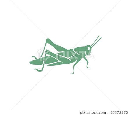 Grasshopper, locust, insect, nature, animal and pests, silhouette and graphic design. Wildlife, fauna, bug, vermin, orthoptera and arthropoda, vector design and illustration 99378370