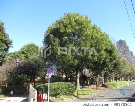 佐江公園(南側) 佐江公園(南側) 99378505